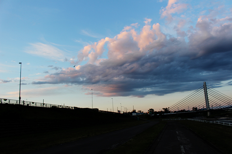 a0139912_08414096.jpg