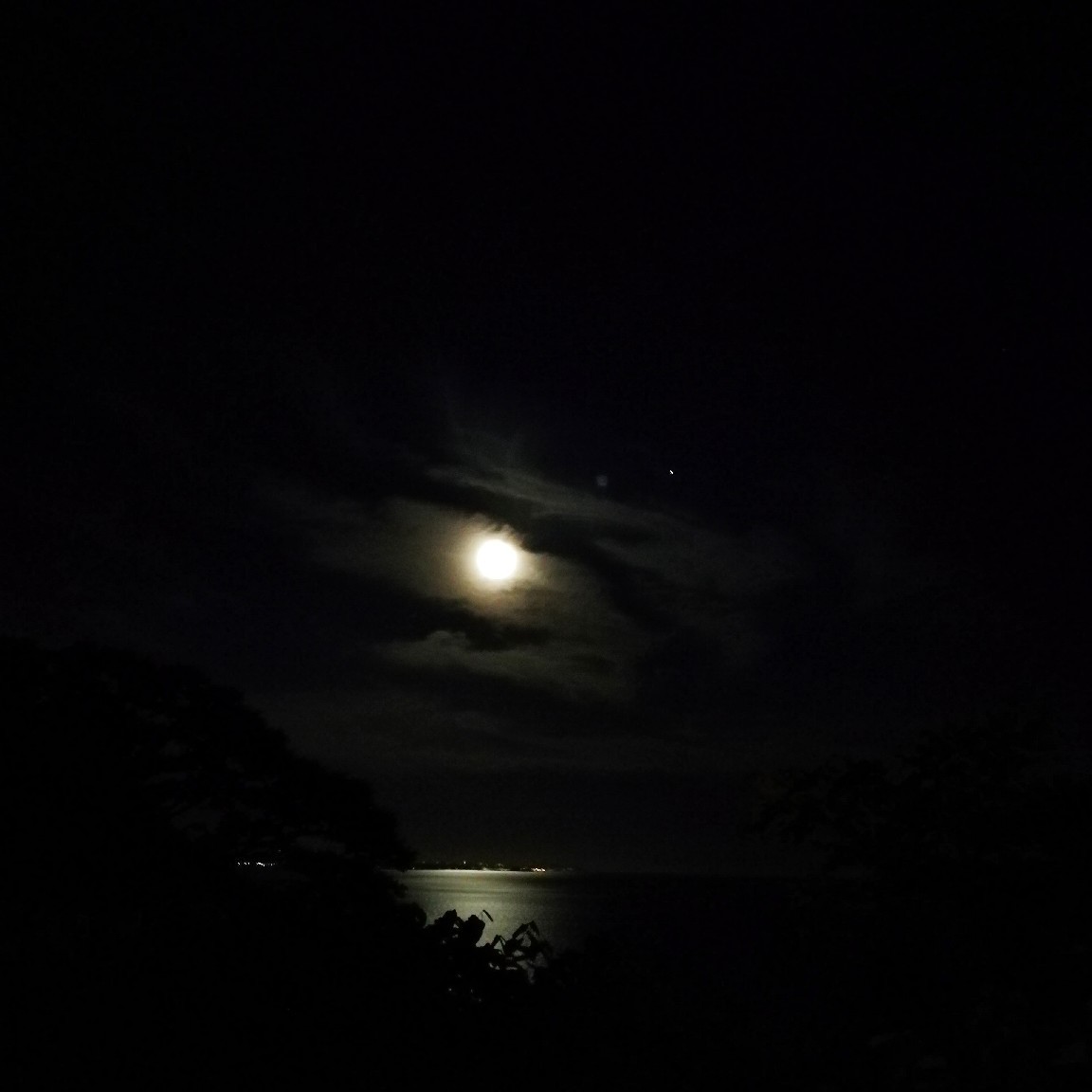 c0025422_18290663.jpg