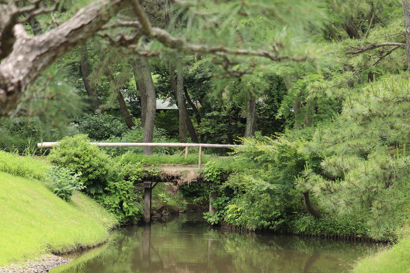 続、横浜市本牧の三渓園_a0214329_22185595.jpg