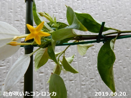 e0033229_18373325.jpg