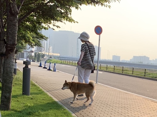 b0330040_21025331.jpeg