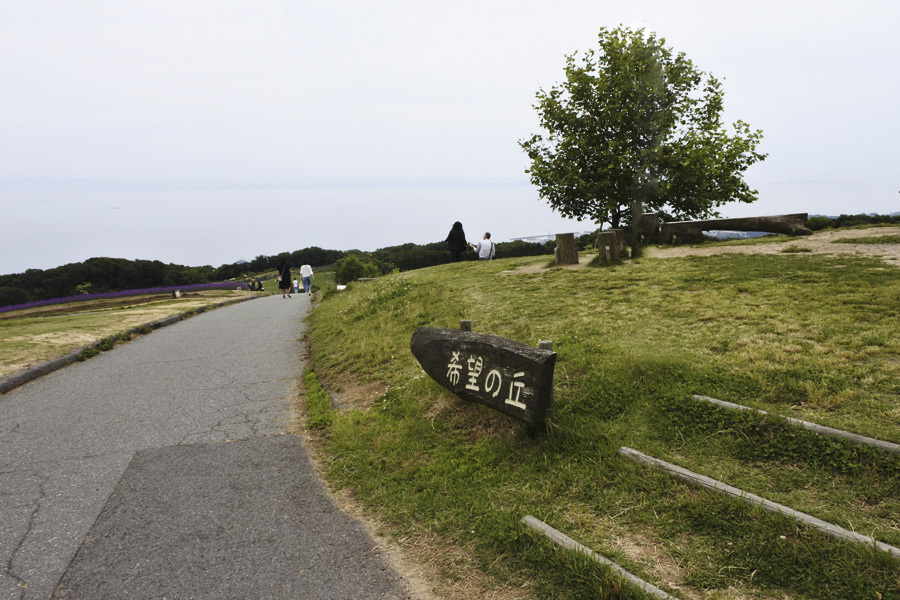 d0322448_15363498.jpg