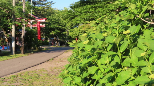 b0238249_18525456.jpg