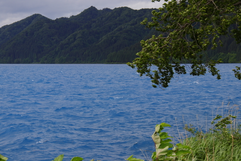 d0342449_08174364.jpg