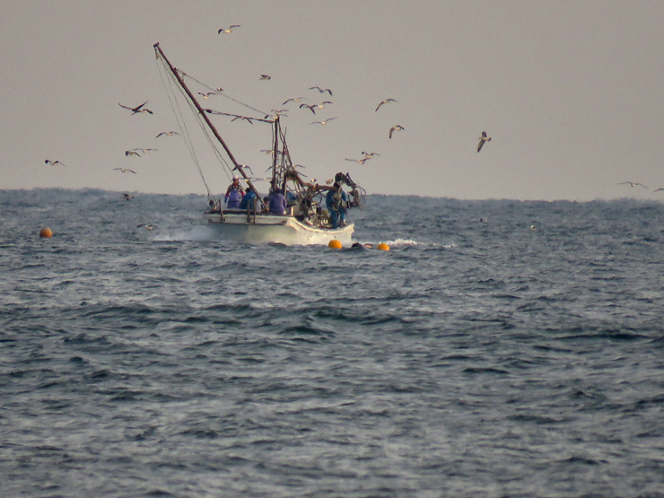 f0214649_20080011.jpg
