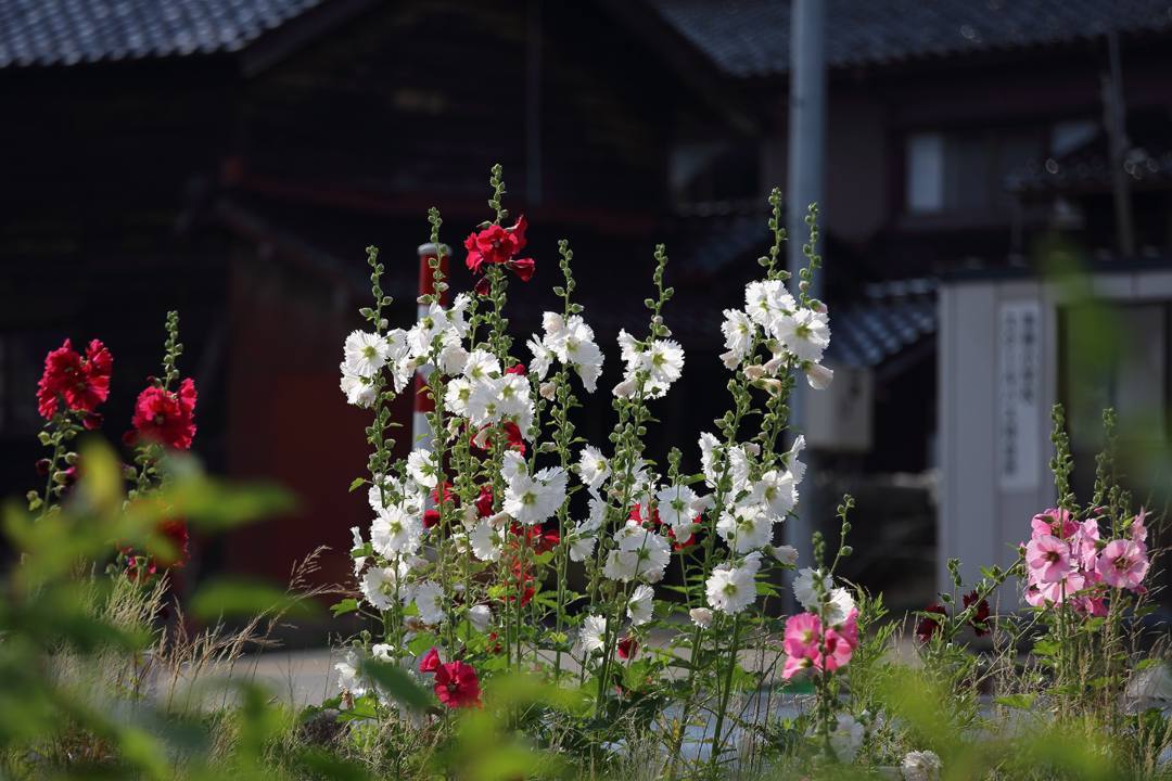 e0403850_02000091.jpg