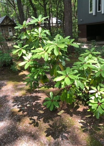 ガイドブックが発売されました!_b0147051_12111520.jpg