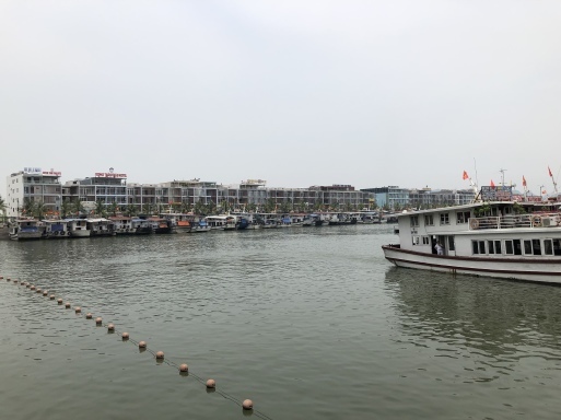 d0032156_06452960.jpeg