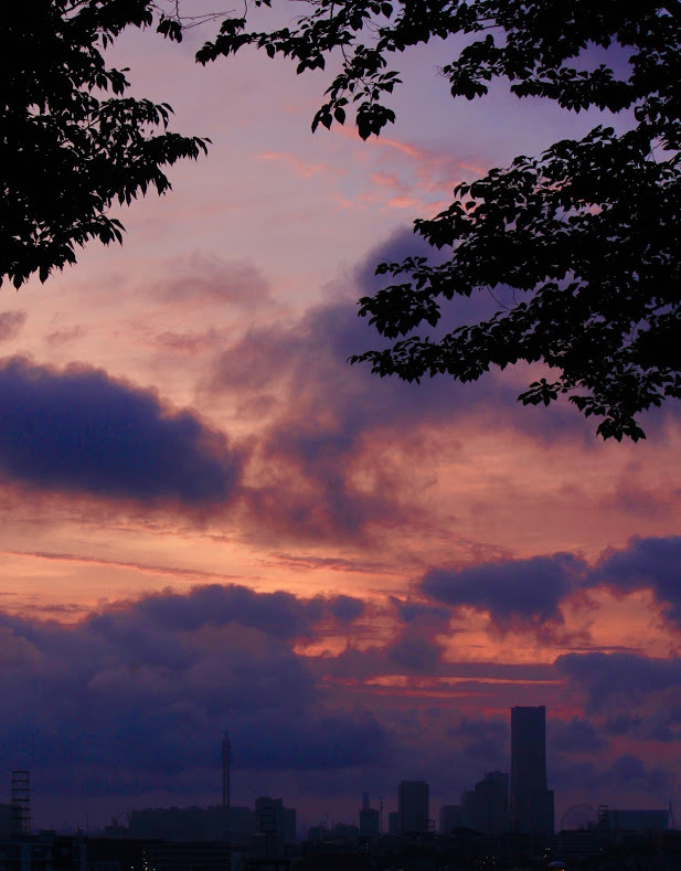 a0248459_14430735.jpg