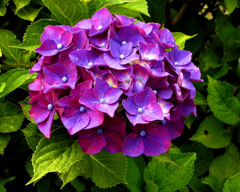 c0305565_17382273.jpg