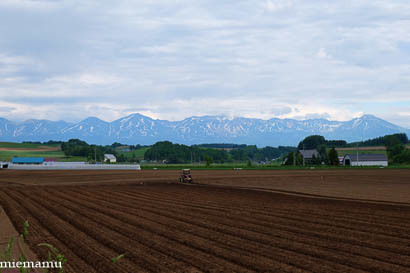 d0340565_19371550.jpg