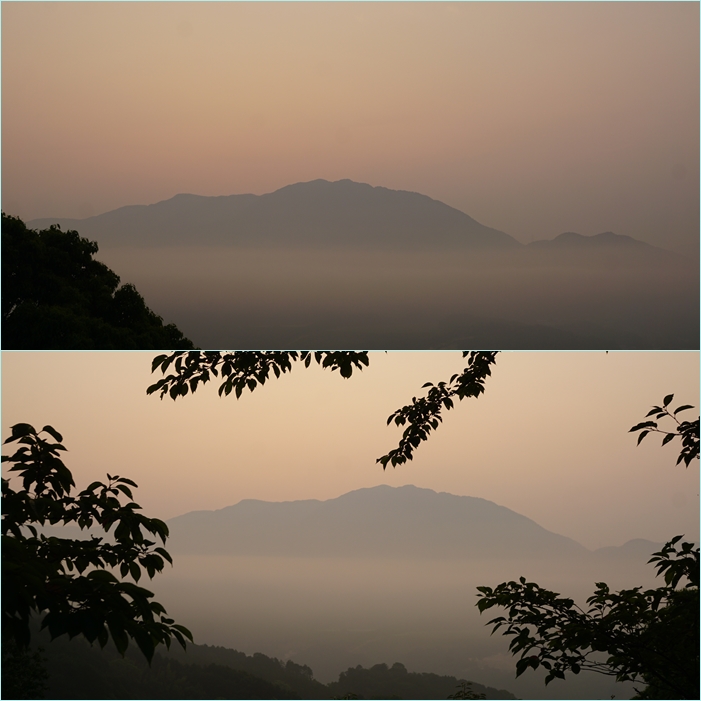 山と海に花散策・・・宝満山＆芥屋海岸。_f0016066_20223059.jpg