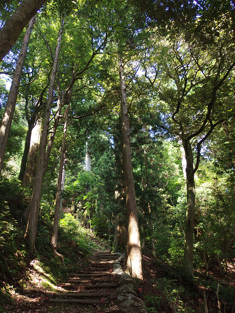 ハスラーで清澄寺。きゃらぶきのために(^^; （6/13）_b0006870_1855734.jpg