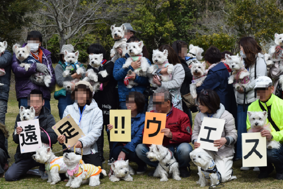 b0242873_17194401.png