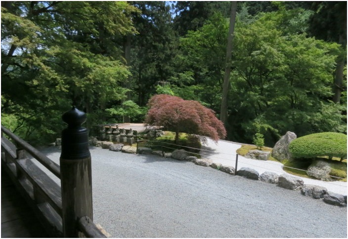 < 古知谷 阿弥陀寺 ② >_c0036080_13280949.jpg