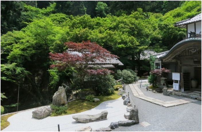 < 古知谷 阿弥陀寺 ② >_c0036080_13284934.jpg