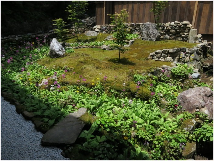 < 古知谷 阿弥陀寺 ② >_c0036080_13351455.jpg