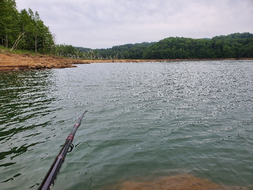 f0199881_14433488.jpg
