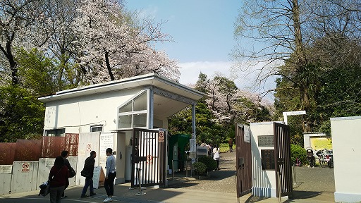 e0020682_17332974.jpg