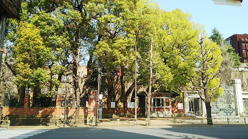 e0020682_18162438.jpg