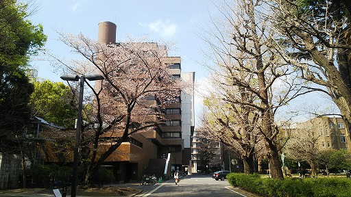 e0020682_18192780.jpg