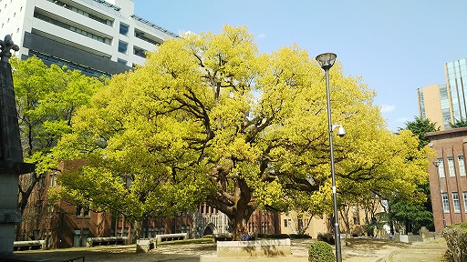 e0020682_1837542.jpg