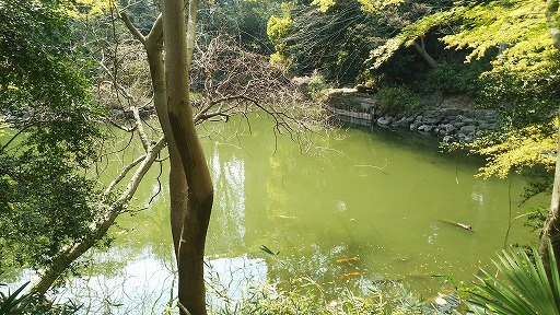 e0020682_1912168.jpg