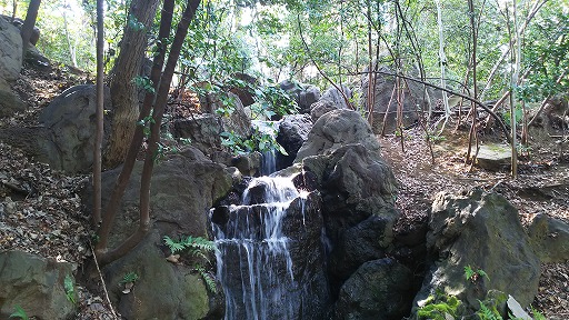 e0020682_1963367.jpg
