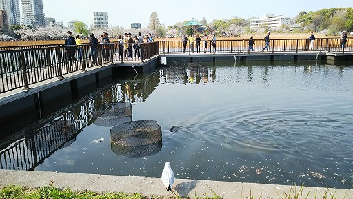 e0020682_20122919.jpg