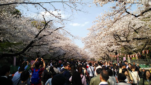 e0020682_203154100.jpg