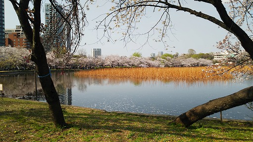 e0020682_2034135.jpg
