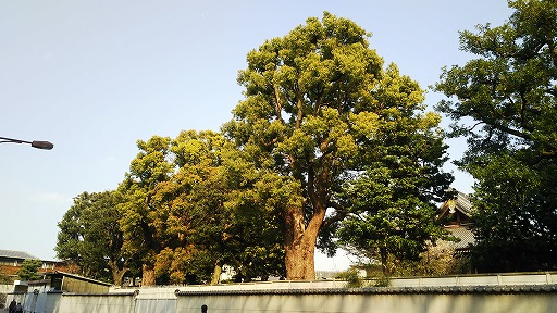 e0020682_20423673.jpg