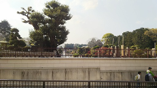 e0020682_2055104.jpg