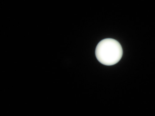 a0185783_10132210.jpg