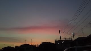 生涯未婚_a0283796_12582590.jpg