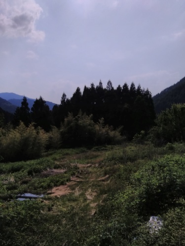 d0074596_21452034.jpg