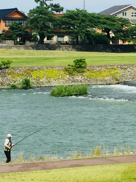 卯辰山の菖蒲園は今が見頃です。_b0140797_19573754.jpeg