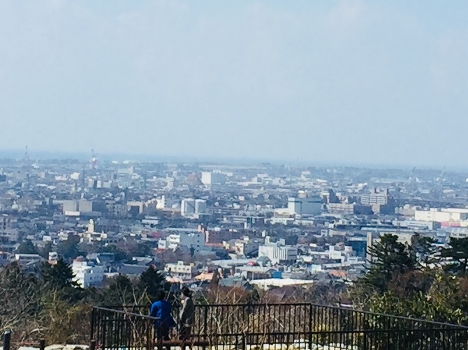 卯辰山の菖蒲園は今が見頃です。_b0140797_22364792.jpeg