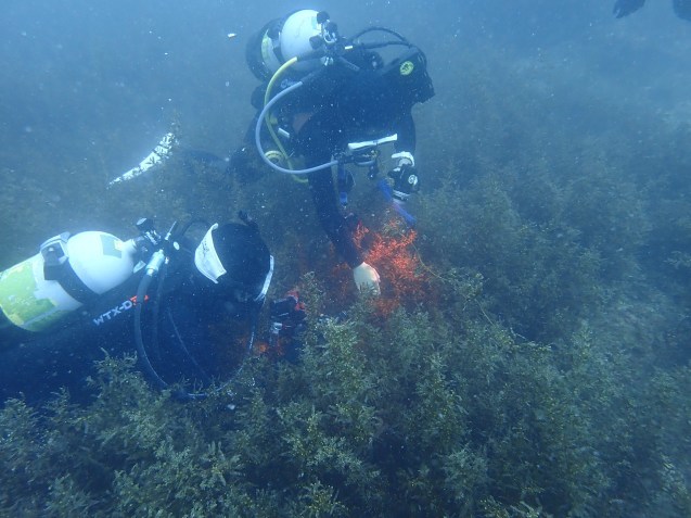 e0115199_14273685.jpg