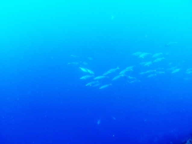6/12 みなべツアー_e0115199_17523901.jpg