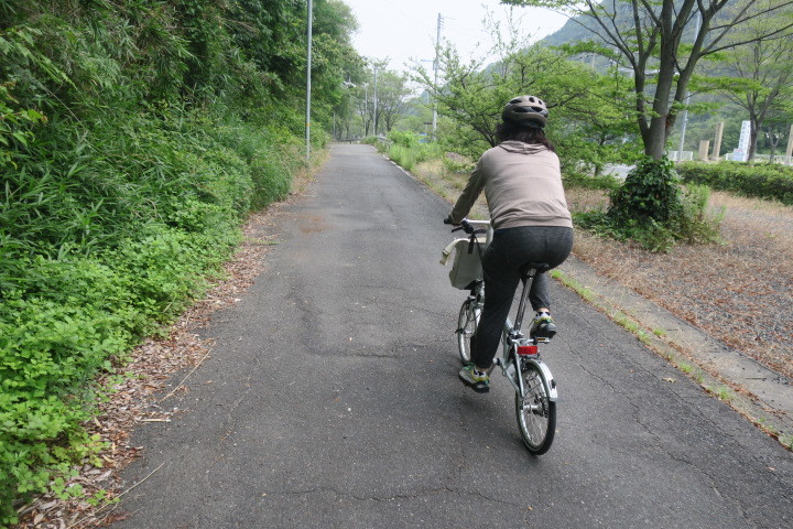 紫陽花サイクリング_c0132901_20254769.jpg