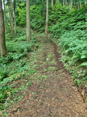 朝一から現場打合せ!_c0336902_20083030.jpg
