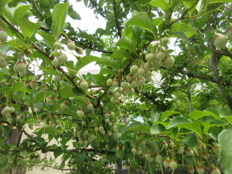a0203003_21445111.jpg