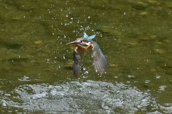 d0382609_13545429.jpg