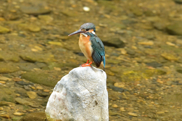 d0382609_13575878.jpg