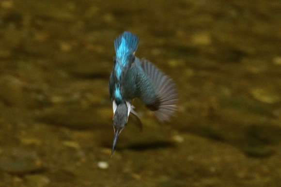d0382609_14004469.jpg