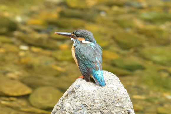 d0382609_14031393.jpg