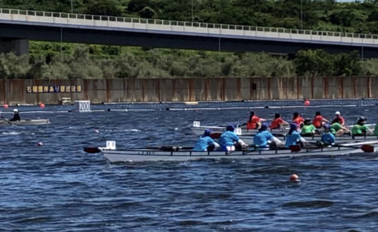 東京オリンピック「海の森水上競技場」_e0155609_17113526.jpg