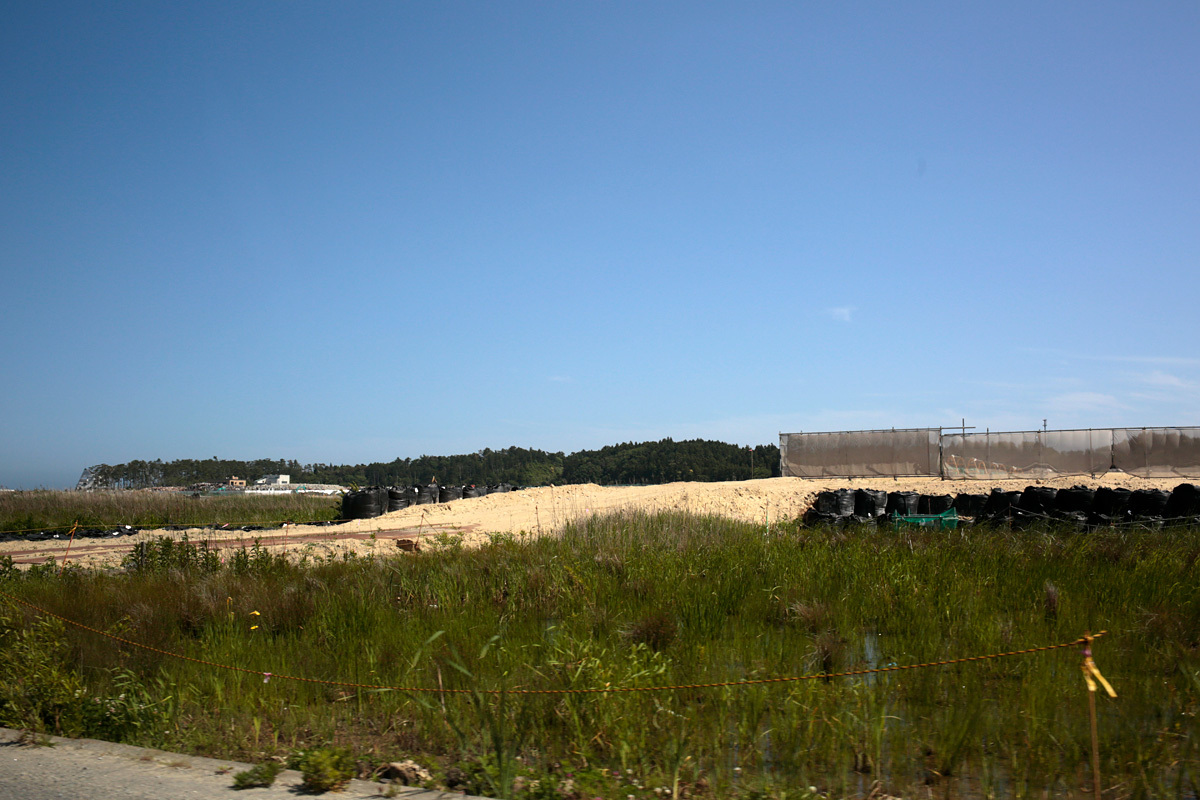 d0011713_09583016.jpg