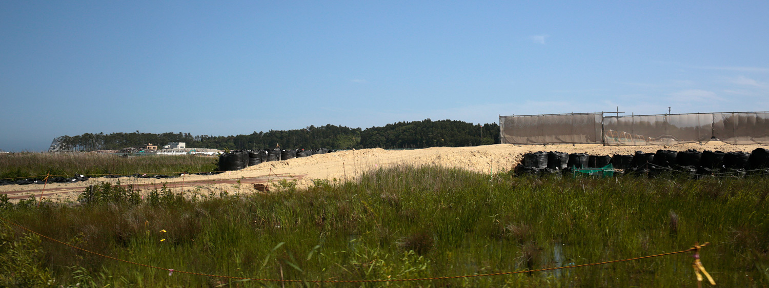 d0011713_09591466.jpg